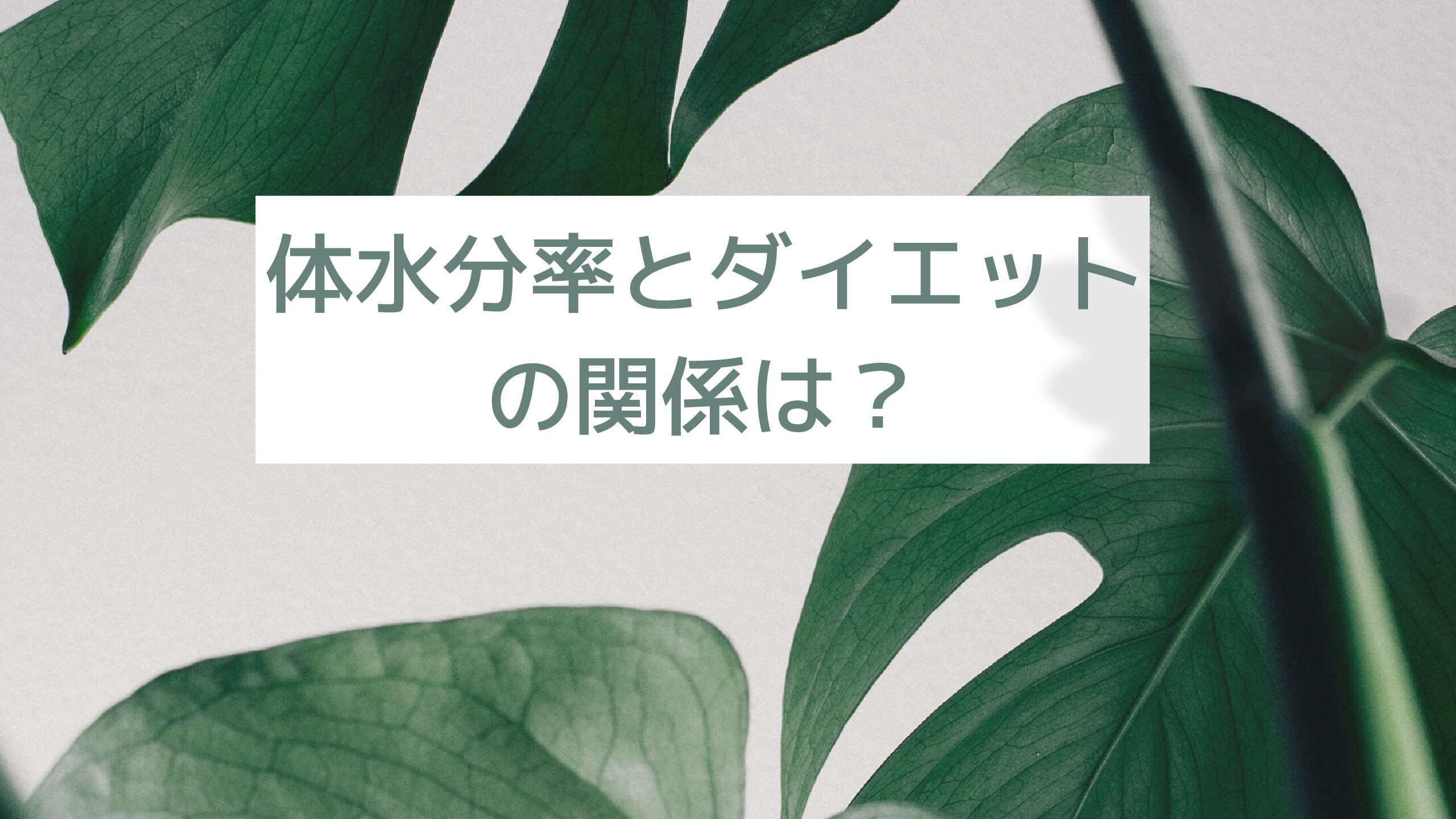 体水分率とダイエットの関係は？